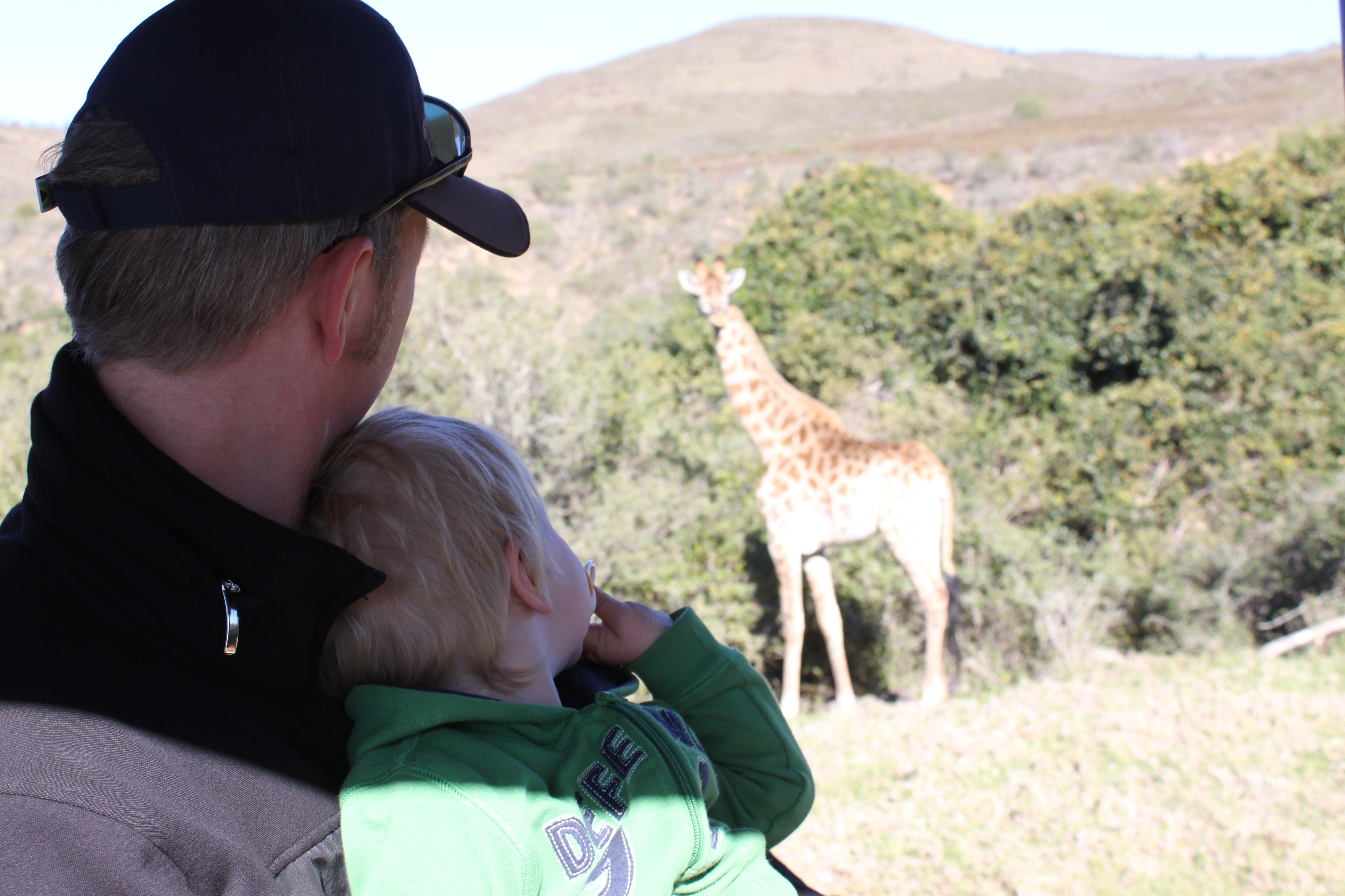 Kind in Südafrika auf Safari mit Giraffe