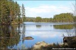 Glaskogen Naturreservat, Värmland, Schweden © Nicky2